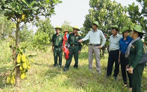 Quảng Nam: Phát triển kinh tế nông nghiệp gắn với du lịch để tạo đà cho huyện miền núi Đông Giang chuyển mình- Ảnh 13.