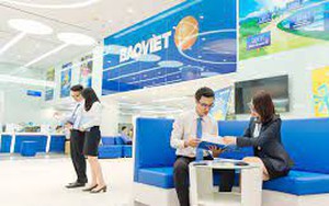 Chứng khoán Bảo Việt (BVS) dự trình lãi giảm nhẹ, trả cổ tức 8% tiền mặt
