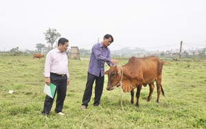 Vốn tín dụng chính sách giúp nông dân Đà Nẵng thoát nghèo bền vững