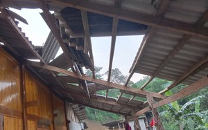 Lào Cai: Hơn 150 nhà bị tốc mái do dông lốc