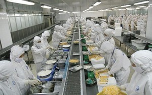 KQKD quý I/2024: Thực phẩm Sao Ta báo lãi hơn 57 tỷ đồng, tăng 18%