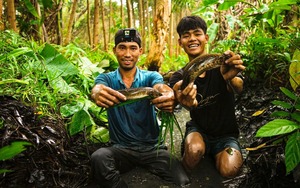 Luồn vào một khu rừng rậm nổi tiếng Cà Mau thấy dân bắt được rắn to bự, cá lóc đồng chắc nình nịch
