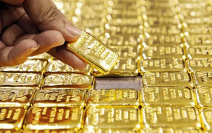Nóng: Giá đặt cọc đấu thầu vàng miếng 81,80 triệu đồng/ lượng, dự kiến 16.800 lượng