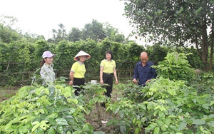 Những nông dân, hợp tác xã tiên phong sản xuất nông nghiệp tuần hoàn ở Thái Nguyên