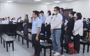 Xét xử vụ Vimedimex: Luật sư tố điều tra bỏ lọt tội phạm, bao che nhóm lãnh đạo ở Hà Nội