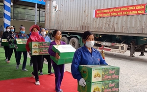 Một huyện của tỉnh Phú Thọ sở hữu thứ trái cây 'tiến vua', mỗi năm mang về cho nông dân 300 tỷ đồng