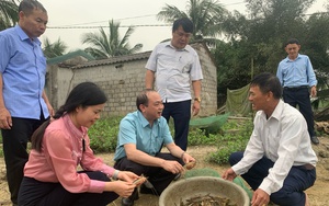 Thanh Hóa: Hội Nông dân xã Trường Trung, huyện Nông Cống hỗ trợ hội viên phát triển kinh tế