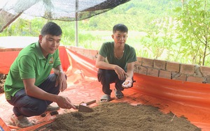 Hội Nông dân Lâm Đồng hướng dẫn nông dân nuôi sâu canxi, bảo vệ môi trường, tăng thu nhập