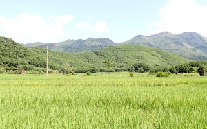 Bắc Giang phê duyệt kế hoạch sử dụng đất huyện Yên Thế, Sơn Động, có 567,24ha đất nông nghiệp bị thu hồi 