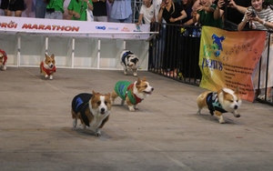 Standard Chartered Marathon Di sản Hà Nội 2024 thu hút hơn 18.000 vận động viên - Ảnh 7.