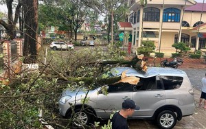 Giông lốc ở Sơn La làm hơn 300 ngôi nhà bị thiệt hại