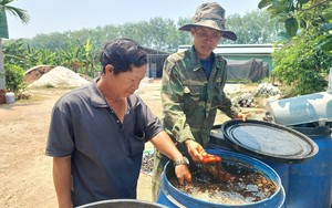 Mặc kệ xóm làng chê, anh nông dân ở Kon Tum quyết trồng cây cho 