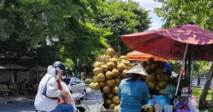 Chuyến tàu đầu tiên đưa 67,5 tấn dừa tươi xuất sang Trung Quốc qua ga liên vận quốc tế Sóng Thần- Ảnh 10.