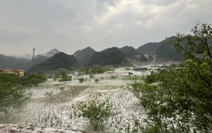 Sơn La: Mưa đá trắng trời, trắng đất ở huyện vùng cao Vân Hồ