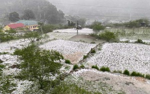 Sơn La thiệt hại gần 55 tỷ đồng do giông lốc và mưa đá