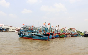 Hành trình gỡ thẻ vàng IUU: Cà Mau nỗ lực số hóa tàu cá (Bài 4)