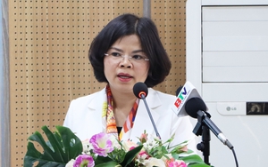 Thủ tướng kỷ luật Chủ tịch tỉnh Bắc Ninh Nguyễn Hương Giang 