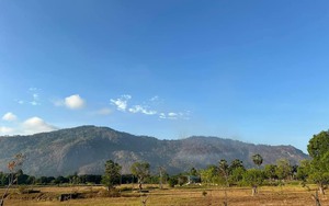 An Giang: Đã khống chế được vụ cháy rừng trên núi Cô Tô