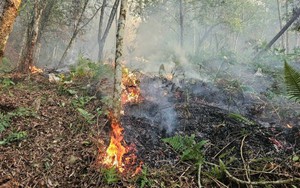Cháy rừng ở Hà Giang khiến 2 cán bộ kiểm lâm tử vong