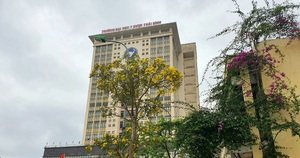 Đại học Y dược Thái Bình bác tin 