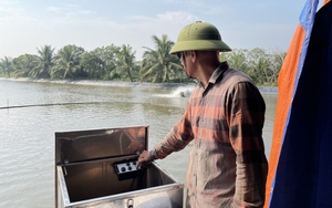 Nông dân Quảng Ninh đầu tư vốn Quỹ Hỗ trợ nông dân vào mô hình nuôi cá trắm đen cho thu nhập cao