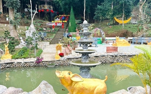 Rừng Vàng - Điểm đến hút khách du lịch nơi phố núi Sơn La