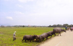 Kể chuyện làng: Mùa gió Lào man mác