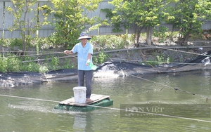 Chính sách chuyển dịch cơ cấu kinh tế giúp nông dân, HTX làm giàu trên đất khó