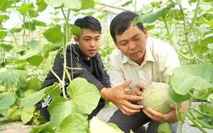 Vốn vay Quỹ Hỗ trợ nông dân giúp 2.000 hộ nông dân ở Đồng Tháp mở rộng quy mô sản xuất