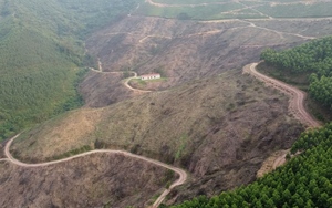 Vụ án hủy hoại 10ha rừng tự nhiên ở Lục Nam, Bắc Giang: Sẽ thu hồi toàn bộ diện tích đất rừng bị chặt phá