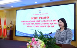 Hợp tác xã, kinh tế tập thể hoạt động chưa thực sự hiệu quả: Chủ tịch Liên minh HTX 