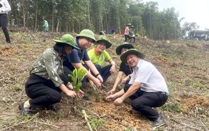 Hội Nông dân tỉnh Hòa Bình hưởng ứng chiến dịch truyền thông về rừng và phục hồi rừng giảm nhẹ khí nhà kính