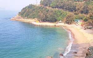 Một hòn đảo đẹp như phim rộng 420ha ở biển Thanh Hóa, có rừng nguyên sinh, vô số động vật hoang dã