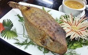 Phú Yên: Loài cá nghe tên đã thấy lạ lùng, nhưng thưởng thức thì ngọt, thơm và bổ dưỡng