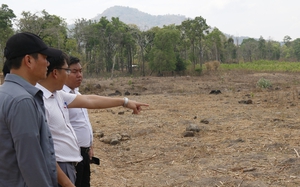 Bình Thuận nâng mức nguy cơ cháy rừng lên cực kỳ nguy hiểm, gần 76.000 người thiếu nước sinh hoạt