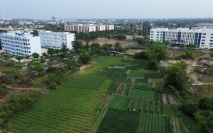 Toàn cảnh làng đại học Đà Nẵng sắp được 