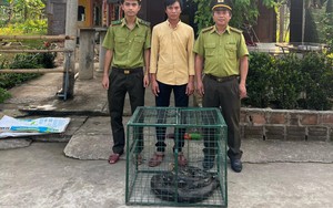 Một con trăn đất đang cố nuốt trọn con hoẵng trong khu rừng rậm nằm ở 3 tỉnh Đồng Nai, Lâm Đồng, Bình Phước- Ảnh 6.