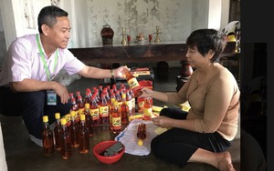 Đà Nẵng: Phát huy vai trò lãnh đạo của Đảng trong hoạt động tín dụng chính sách, Liên Chiểu hái 