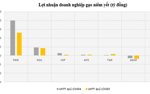 Bức tranh tài chính ngành lúa gạo phân hóa rõ rệt, hé mở triển vọng năm 2024