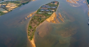 Kỳ thú cồn cát hình thù giống cá voi đang bơi ở cửa biển tại Bình Định