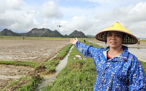 Quảng Bình: Máy bay không người lái giúp nông dân gieo sạ, bón phân trên 