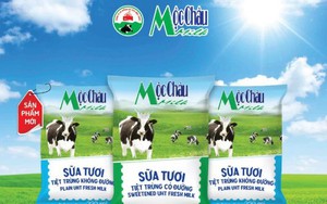 110 triệu cổ phiếu MCM của Mộc Châu Milk chuẩn bị chuyển nhà sang HoSE