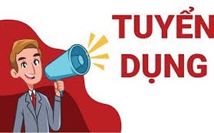 Tor tuyển dụng chuyên gia hỗ trợ kỹ thuật Chương trình làm cha trách nhiệm - Ảnh 1.