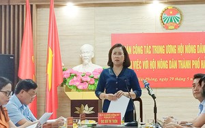 Phó Chủ tịch Bùi Thị Thơm định hướng 5 nội dung về công tác tuyên truyền, vận động nông dân - Ảnh 9.