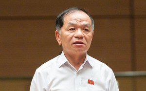 Đại biểu Lê Thanh Vân: 