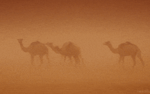 Clip: Những sự thật thú vị về sa mạc Sahara