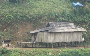 Hội viên nông dân Yên Châu thi đua sản xuất, kinh doanh giỏi - Ảnh 5.