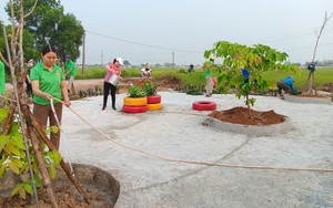 Thừa Thiên Huế: Hội Nông dân nhân rộng mô hình “Điểm xanh văn hóa” để phục vụ cộng đồng