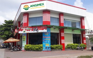 Angimex (AGM): Lỗ lũy kế gấp 24 lần vốn chủ, sắp bán loạt tài sản để trả nợ vay