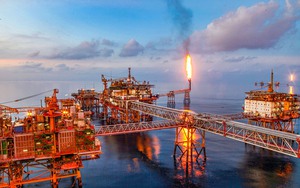 Kỷ niệm 49 năm Ngày thành lập Petrovietnam: Thời cơ mới, vận hội mới để Petrovietnam phát triển bền vững- Ảnh 7.